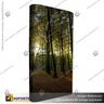 PANEL ARAÑA PAI RECTO 1 CUERPO (75*230 CMS) + CARRO BASICO + LAMINAS PAI + FOCO HALOGENO, foto 5